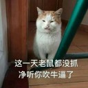 猫服最后的大佬